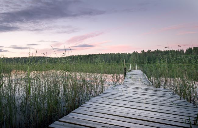 Wooden dock emerging from the tall grass on the side of a lake at sunset or sunris – inspiration for a weekly list of free educational events and resources for the association community