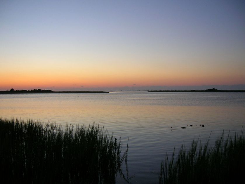 view of Masonboro Island (NC) from the shore – inspiration for my weekly list of free educational events and resources for the association community