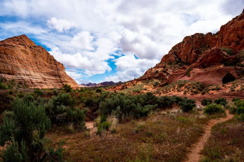 Buckskin Gulch trail in southern Utah, one of the longest, coolest hikes I've ever done – inspiration for my weekly list of free educational events and resources for the association community