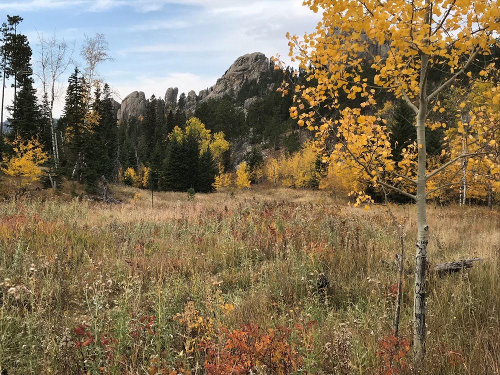 Little Devil's Tower Trail in Custer SP, Black HIlls, South Dakota – inspiration for my weekly list of free educational events and resources for the association community