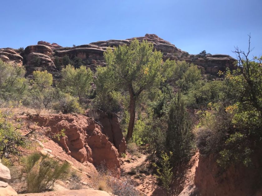 Squaw Canyon trail in the Needles District of Canyonlands National Park