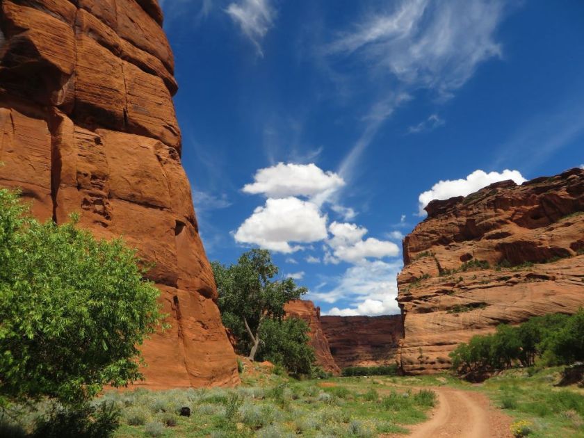 road between cliffs in Canyon de Chelly, AZ – inspiration for my weekly list of free educational events and resources for the association community