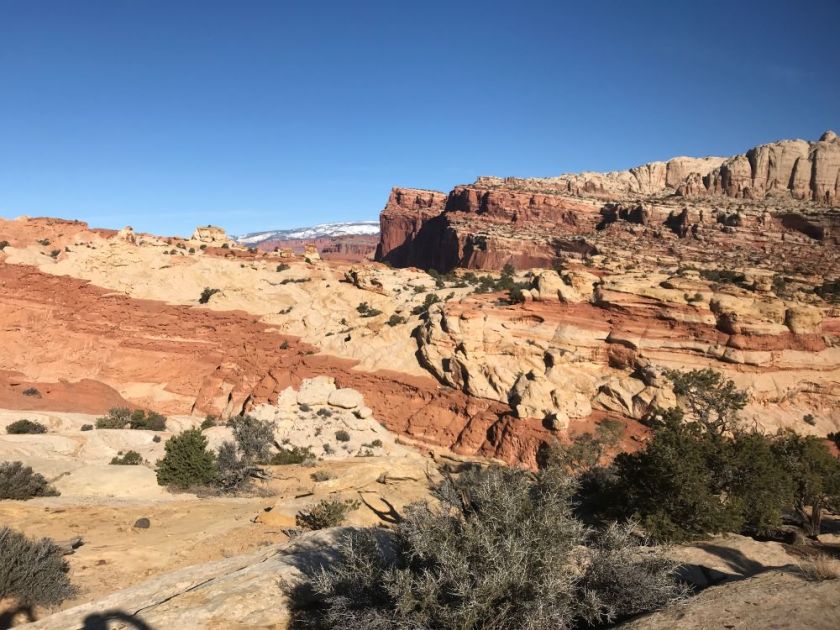view from the Hickman Bridge Trail in Capitol Reef National Park (UT) – inspiration for my weekly list of free educational events and resources for the association community