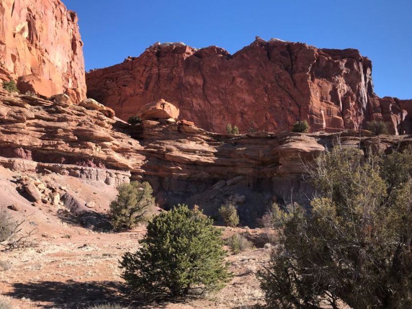 Chimney Rock trail in Capitol Reef National Park (Utah) – inspiration for my weekly list of free educational events and resources for the association community