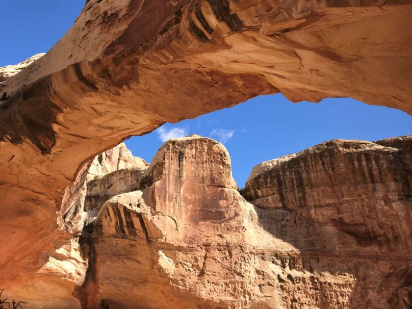 Hickman Bridge in Capitol Reef National Park (UT) – inspiration for my weekly list of free educational events and resources for the association community
