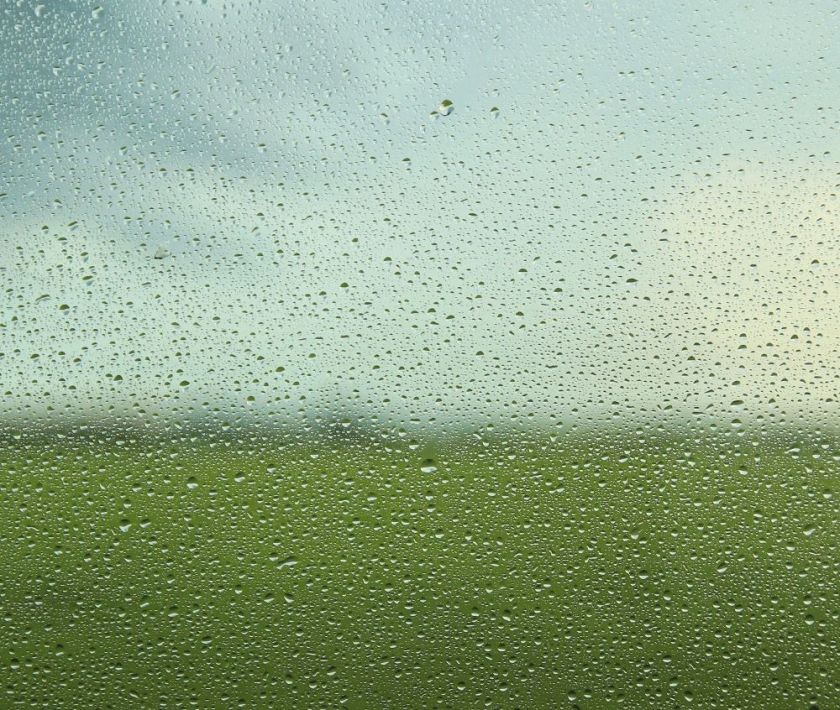 view out a rain drop soaked window to a green field – inspiration for my weekly list of free educational events and resources for the association community