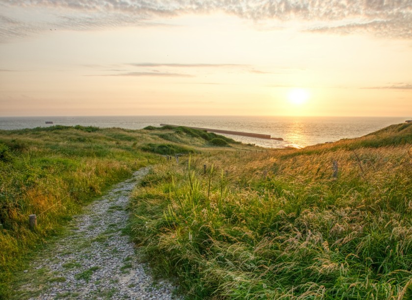 a path through a grassy dune headed to the water at sunrise or sunset – inspiration for my weekly list of free educational events and resources for the association community