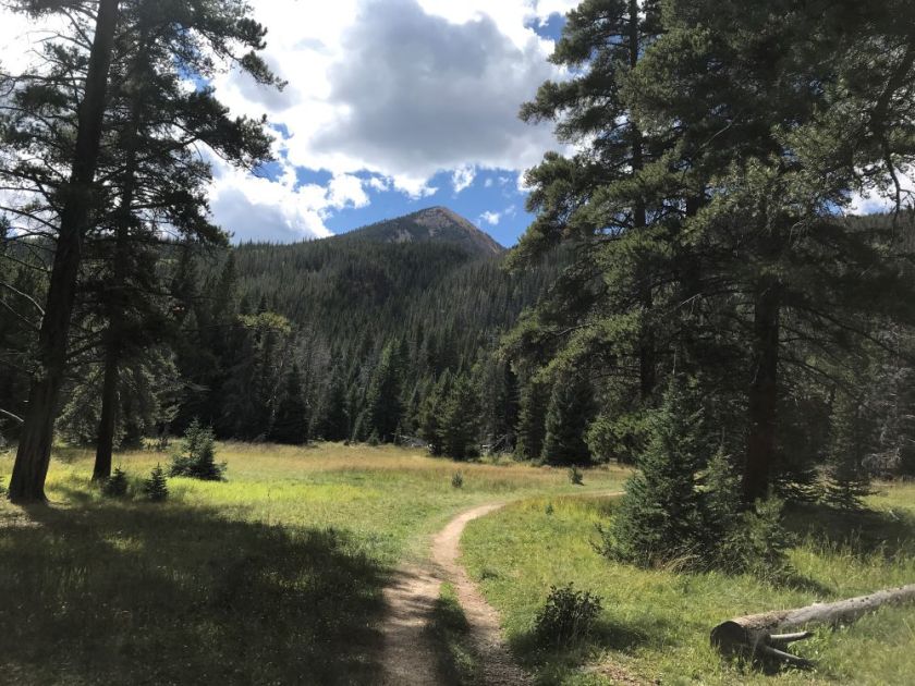 Colorado River trail in Rocky Mountain NP – inspiration for my weekly list of free educational events and resources for the association community
