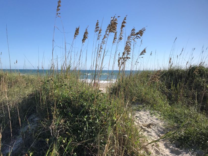 view of the ocean from the dunes in Salter Path, NC – inspiration for my weekly list of free educational events and resources for the association community